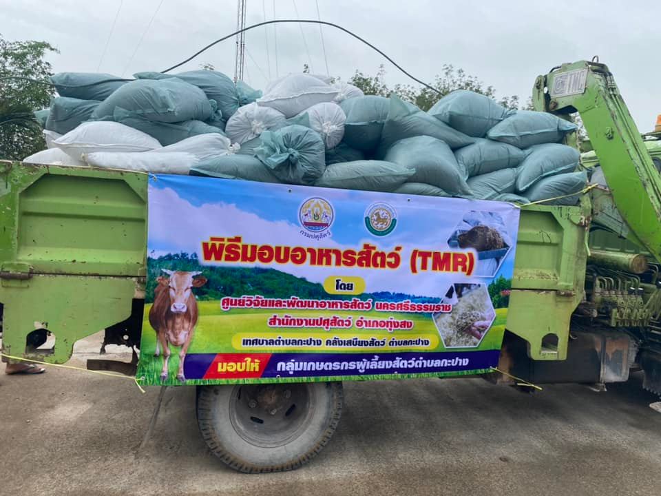 วันอังคาร ที่ 21 ธันวาคม 2564 เวลา 13.30น. เทศบาลตำบลกะปาง ร่วมกับสำนักงานปศุสัตว์ อำเภอทุ่งสง จัดพิธีมอบอาหารสัตว์ ให้กับกลุ่มเกษตรกรผู้เลี้ยงสัตว์ตำบลกะปาง